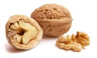 nueces cascara usa